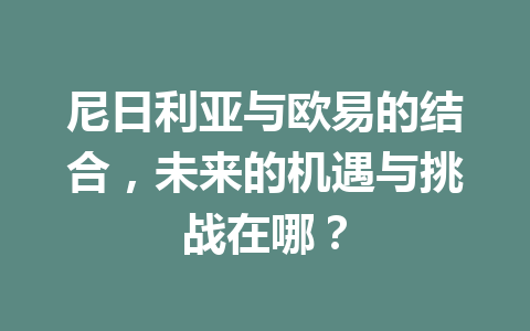 尼日利亚与欧易的结合，未来的机遇与挑战在哪？