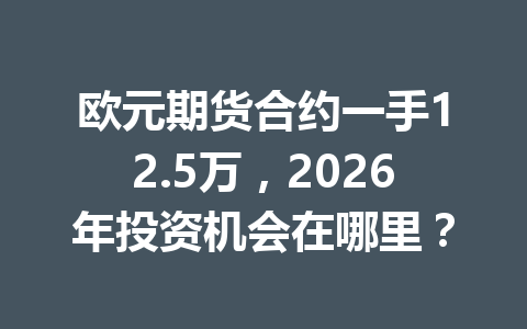 欧元期货合约一手12.5万，2026年投资机会在哪里？